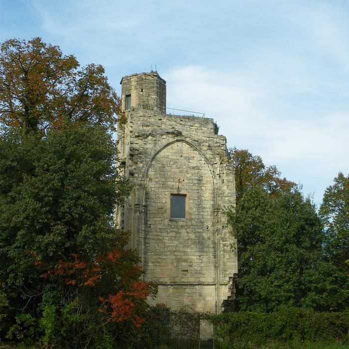 Photo de Livrées cardinalices dAvignon